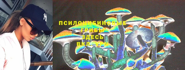 таблы Михайлов