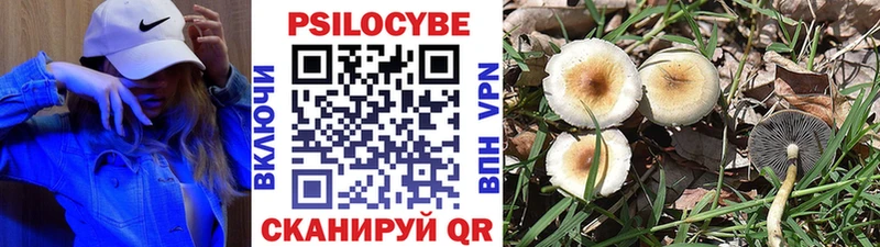 Купить  Черняховск  Галлюциногенные грибы Magic Shrooms 